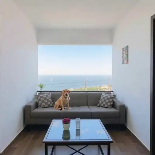 Negocio Apartamentos Salor