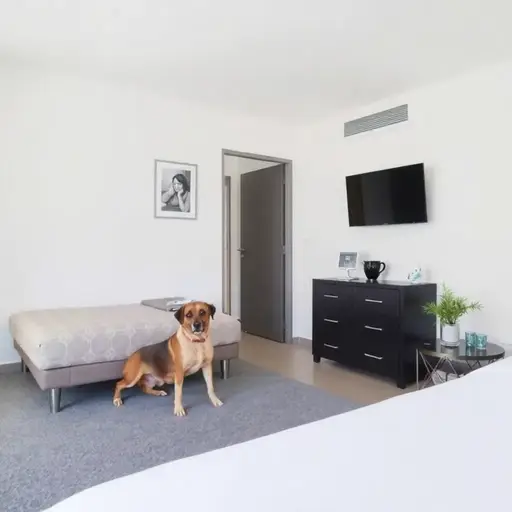 Inter2 Salou Apartments – Alojamiento que acepta mascotas