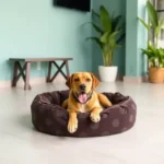 pubol